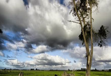 曼联踢出漂亮战术，核心球员闪耀