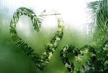 热那亚球队越战越勇，斩获胜利