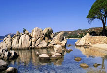 辽宁男篮继续战胜天津，领跑积分榜